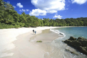 Just a few miles south of Quepos is one of the top beaches in the world, 