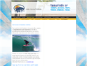 screenshot of Coasta Rica Surf Institute in Tamarindo
