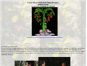 screenshot of Costa Rica Medicinal Plant Project