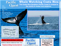 screenshot of Whale Watching In Costa Rica - Pacific Quest Tours