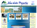 screenshot of Blue Water Properties - Playa Conchal, Guaanacaste, Costa Rica