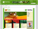 screenshot of Organization For Tropical Studies - Costa Rica
