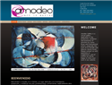 screenshot of Amodeo Art Galley - Artists from Costa Rica