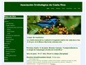screenshot of Ornithological Association of Costa Rica