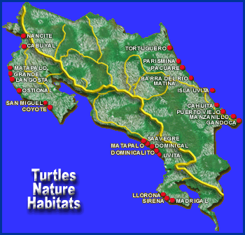 Costa Rica Turtle map