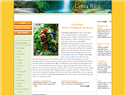 screenshot of Costa Rica Tours -  Hotels and Fishing Vacations