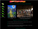 screenshot ofCosta Rica Art and Workshop Tours