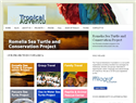 screenshot ofTropical Adventures Foundation