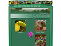 screenshot of Toucan Rescue Ranch